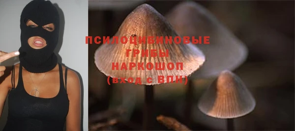 дурь Алексеевка