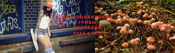 бошки Алзамай