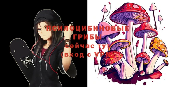 дурь Алексеевка